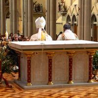 20250920 Img 0143 Sistercooey